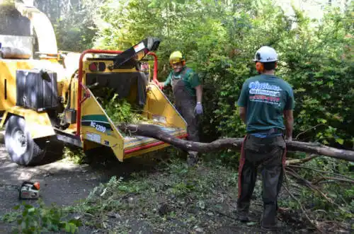 tree services Fort Walton Beach